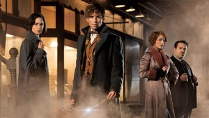 FANTASTIC BEASTS AND WHERE TO FIND THEM Gets A New TV Trailer