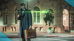 FANTASTIC BEASTS and Where to Parkour Them