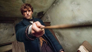 FANTASTIC BEASTS Director David Yates Says The Sequel 