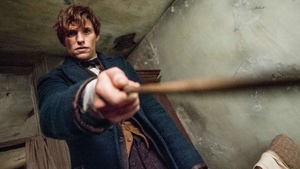 FANTASTIC BEASTS Sequel Officially Announced and David Yates Is Returning to Direct