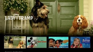 First Look at The Disney+ Interface Offers First Image of LADY AND THE TRAMP and FALCON & WINTER SOLDIER Logo