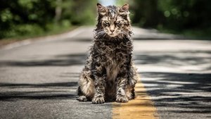 First Photos Released For The Remake of Stephen King's PET SEMATARY and New Details