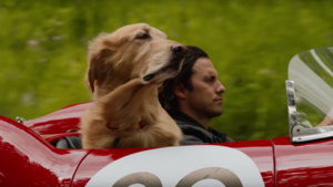 First Trailer for Dog Film THE ART OF RACING IN THE RAIN Adapted from Best-Selling Novel