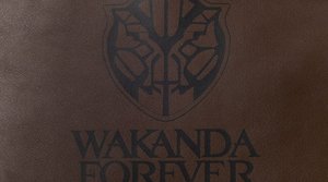 Funko Hollywood To Have Wakanda Themed Storefront Ahead Of BLACK PANTHER: WAKANDA FOREVER Release