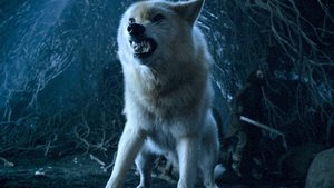 George R.R. Martin Confirms Starks, Direwolves, and More Details for the GAME OF THRONES Prequel