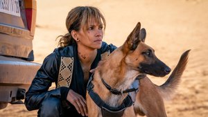 Halle Berry's JOHN WICK Character Sofia Might Be Getting Her Own Spinoff Movie