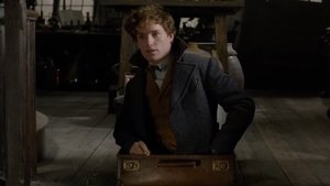 Honest Trailer For FANTASTIC BEASTS: THE CRIMES OF GRINDELWALD Shows How All The Fun Was Sucked out of the Franchise