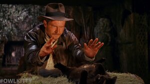 Indiana Jones and The Raiders of the Lost Cat Silly Fan Video