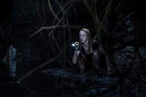 Is CRAWL The Best Man vs. Beast Thriller In The Last 5 Years? One Minute Movie Review