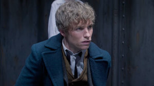 J.K. Rowling Announces There Will Be Five Total FANTASTIC BEASTS Movies; See Tons of New Footage From The First One