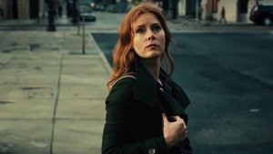 Amy Adams is Set To Star in Joe Wright's Psychological Thriller THE WOMAN IN THE WINDOW