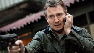 Liam Neeson Says He Might Retire From Action Films Next Year: 