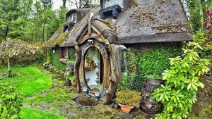 Man Builds Himself a Hobbit House in the Woods