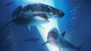 Mandy Moore is Terrorized By Sharks in New Trailer For 47 METERS DOWN