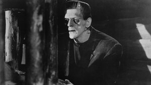 Mary Shelley's FRANKENSTEIN Is Being Developed as a TV Series