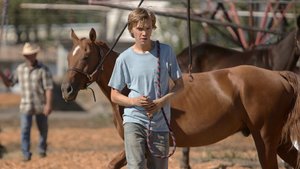 Moving Trailer For LEAN ON PETE With Steve Buscemi about a Boy and His Horse