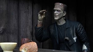 NECA Reveals Cool New BRIDE OF FRANKENSTEIN Frankenstein's Monster Action Figure