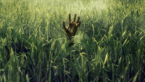 Netflix is Developing an Adaptation of Stephen King and Joe Hill's IN THE TALL GRASS