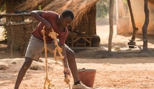 Netflix Original: THE BOY WHO HARNESSED THE WIND Is A Touching Tribute To A Real Story - One Minute Movie Review