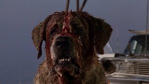 New Film Adaptation of Stephen King's CUJO Being Developed For Netflix