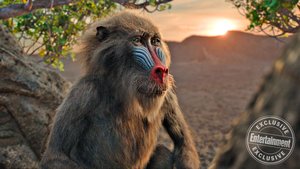 New Photos From Disney's THE LION KING and Jon Favreau Discusses The Film and Reinventing The Story