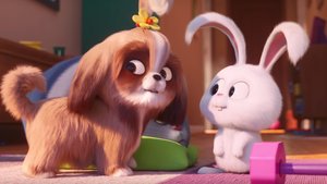 New Trailer for THE SECRET LIFE OF PETS 2 Focuses on Tiffany Haddish's Character Daisy