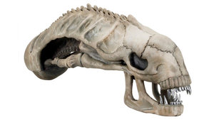 Now You Can Mount a Xenomorph Skull on Your Wall, If That's Something You'd Enjoy Looking at Every Day