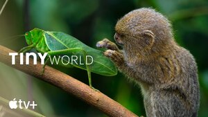 Paul Rudd Narrates the World of the Smallest Animals on Earth in Trailer for Docuseries TINY WORLD