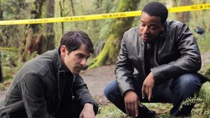 Peacock Developing a Feature Length Reboot of the NBC Fantasy Cop Drama GRIMM