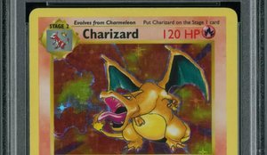 POKEMON TCG Collection Sells for Just Over $100,000