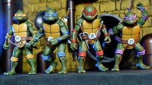 Radical TEENAGE MUTANT NINJA TURTLES Original Cartoon Action Figure Box Set From NECA