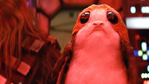 Meet the Adorable Porg Creatures From STAR WARS: THE LAST JEDI That Live With Luke Skywalker