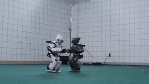 Robots Perform 