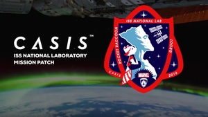 Rocket Raccoon and Groot are Featured on the Official ISS Mission Patch