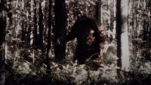 SASQUATCH Documentary Trailer Investigates Bigfoot and Murder on Dope Farms in Northern California