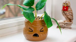 Show Your Houseplants Some Love With New Fandom Planters From Toynk