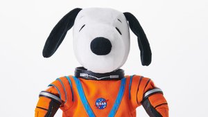 Snoopy Is Going to the Moon In Artemis I Flight