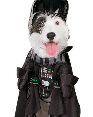 STAR WARS: Dog Costumes