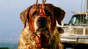 Stephen King Reveals His CUJO Sequel Will Be Included in His New Book YOU LIKE IT DARKER