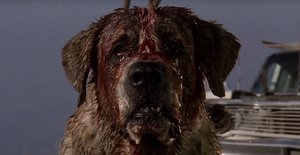 Stephen King's CUJO Is Getting a 4K Ultra HD Release