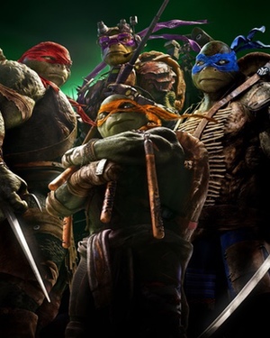 TEENAGE MUTANT NINJA TURTLES 2 Finds a Director