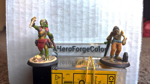 The Color Printed Miniatures from Hero Forge are Dope