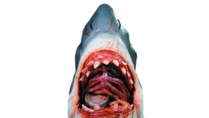 The First Official JAWS Costume Mask is Bloody Brutal