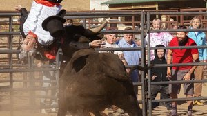 The Gnarly Stunt in JACKASS FOREVER That Made Johnny Knoxville Quit Doing Stupid Stunts