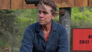 The Joker's Mom Will Be Featured in The Upcoming Origin Film and Frances McDormand Turned Down The Role