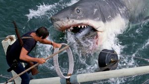 The Original Shark From JAWS Has Been Restored For The Academy Museum of Motion Pictures
