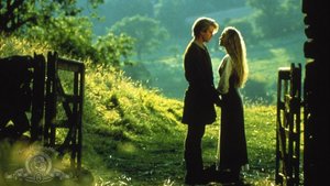 THE PRINCESS BRIDE Musical Is in Early Stages for Disney Theatrical to Head to Broadway