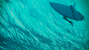 THE SHALLOWS Trailer and Poster: It's Blake Lively Against a Shark