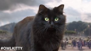 This Artist Puts His Cat in Iconic Movie Scenes