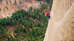 This Intense Trailer for the Rock Climbing Doc THE DAWN WALL Made My Palms Sweat